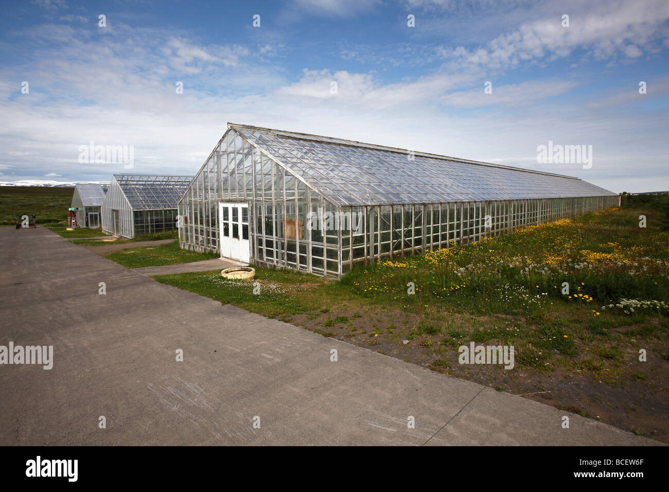 Geothermally heated greenhouses, Iceland Stock Photo