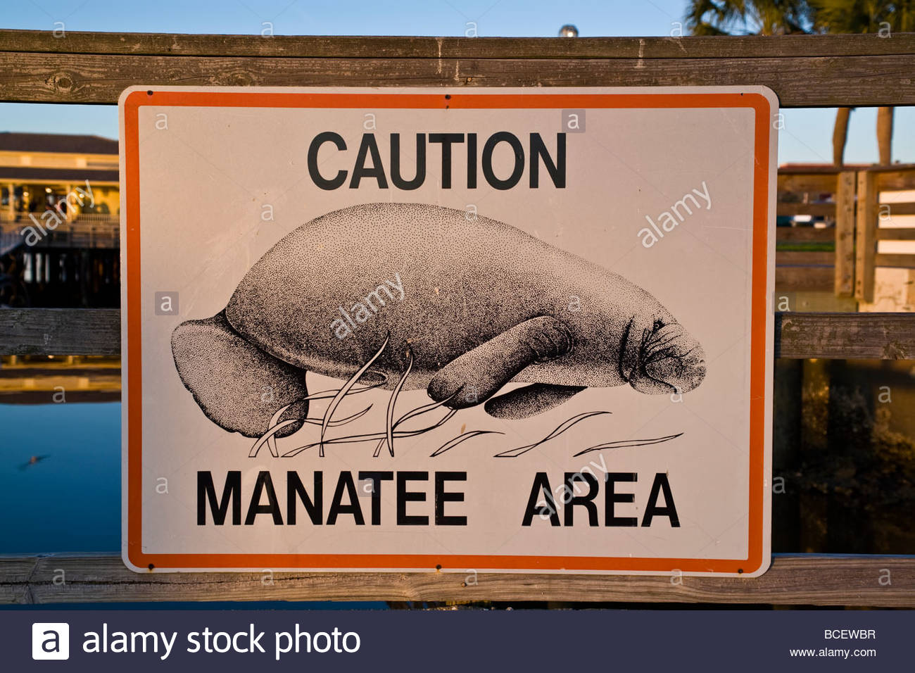 Caution Manatee Area Sign Stock Photos & Caution Manatee Area Sign