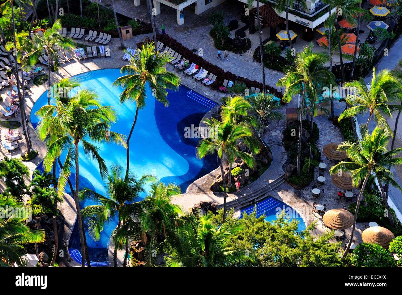 Swimming pool, Honolulu, Hawaii, USA Stock Photo Alamy