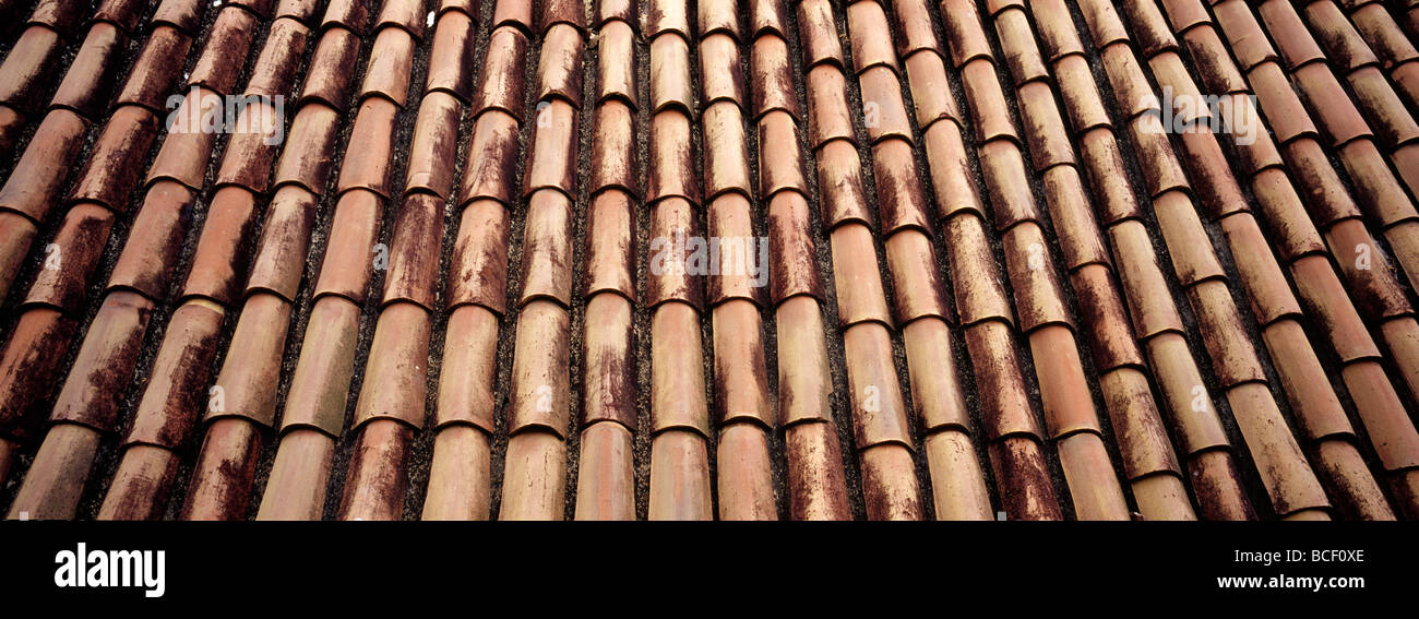 The neat, textured terracotta tiles of a coastal resort roof. Stock Photo