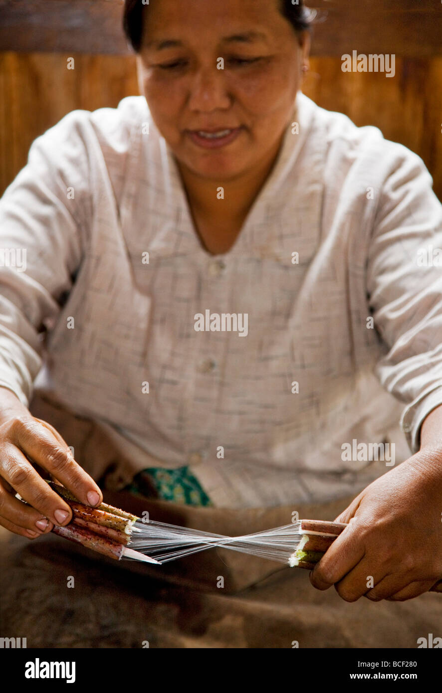 Myanmar, Burma Lake, Inle. A Burmese woman breaks and twists lotus flower stems to remove the fibres Stock Photo