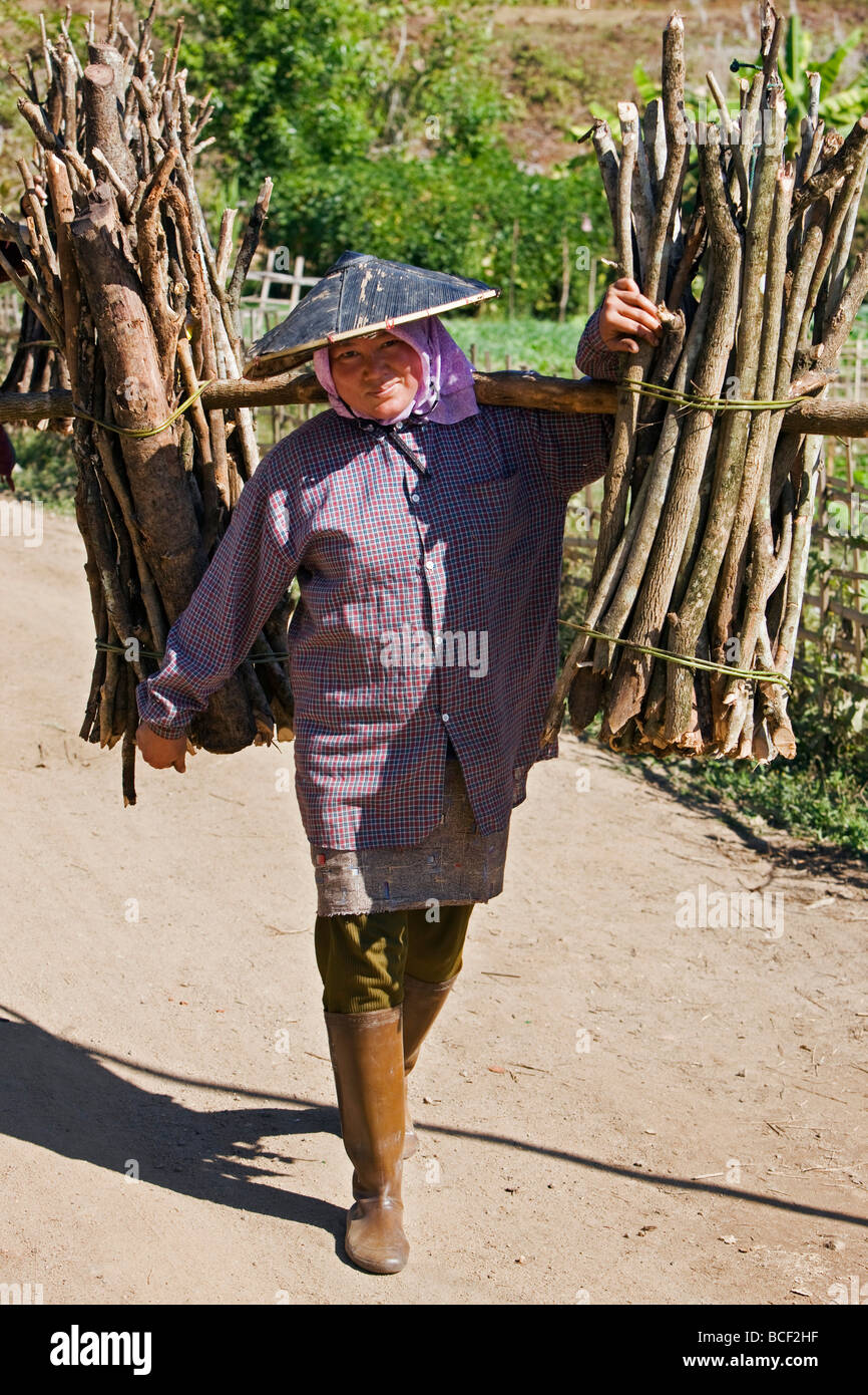Myanmar, Burma, Pan-lo. A woman carries home a load of firewood near Pan-lo village. Stock Photo