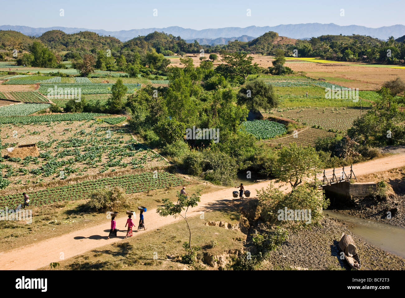 Myanmar, Burma, Mrauk U. Intensive cultivation of the rich farming country outside Mrauk U. Stock Photo