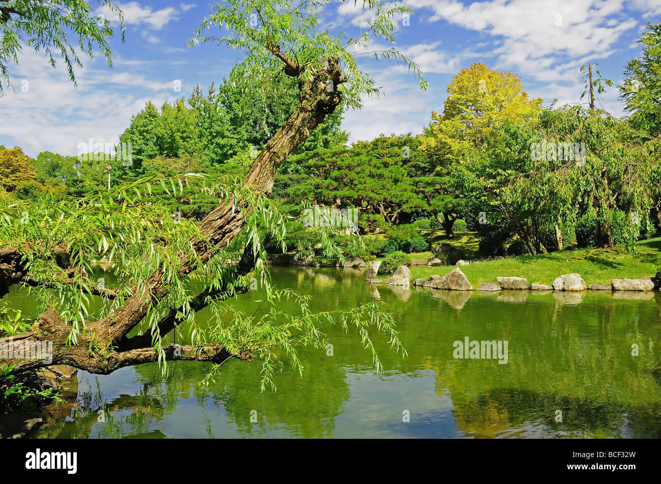 Japanese Garden Stock Photo