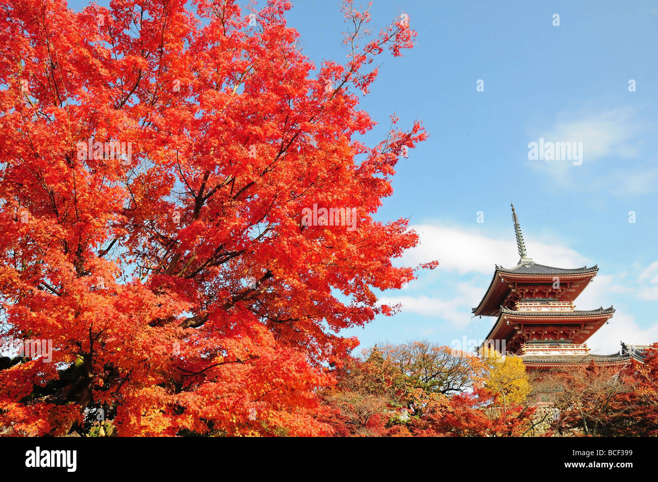 Pagoda in Autumn colour Stock Photo