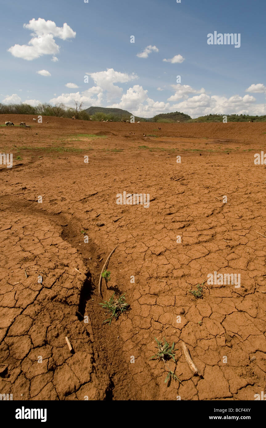 Drought in Rift Valley Kenya Africa Stock Photo