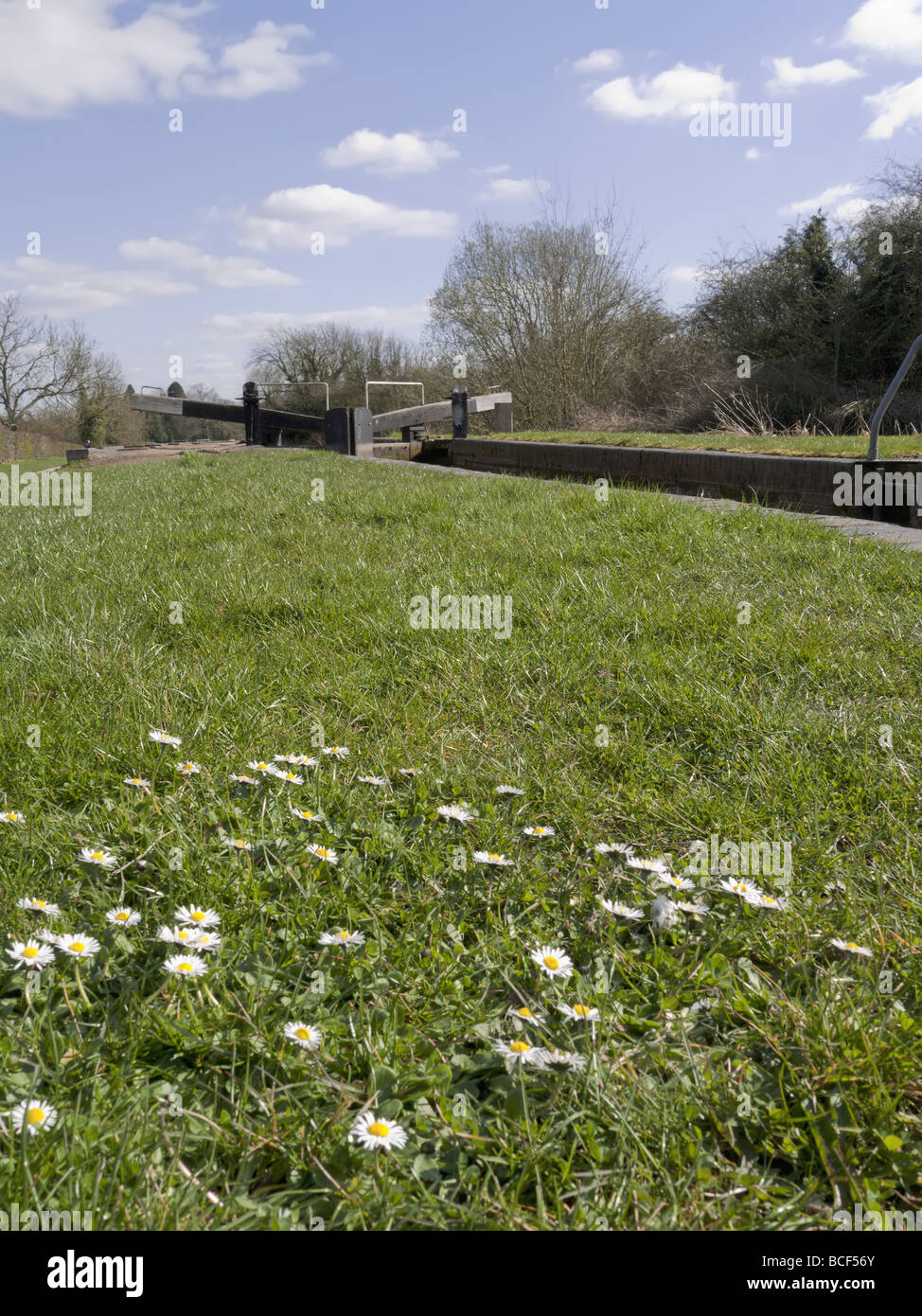The banks of a river with bushes and trees Stock Photo - Alamy