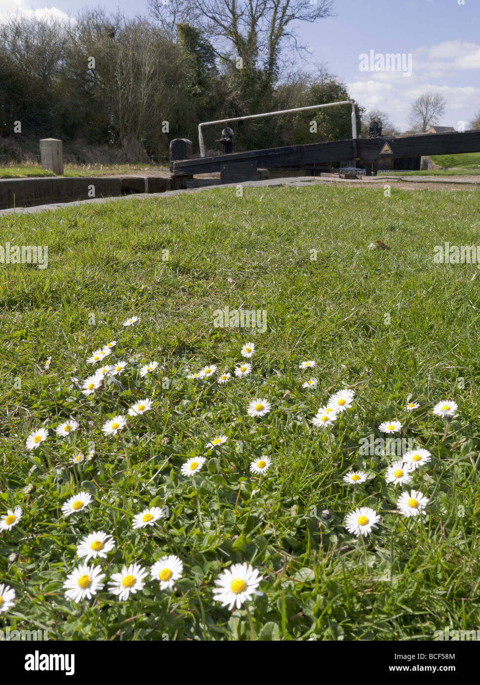 The banks of a river with bushes and trees Stock Photo - Alamy