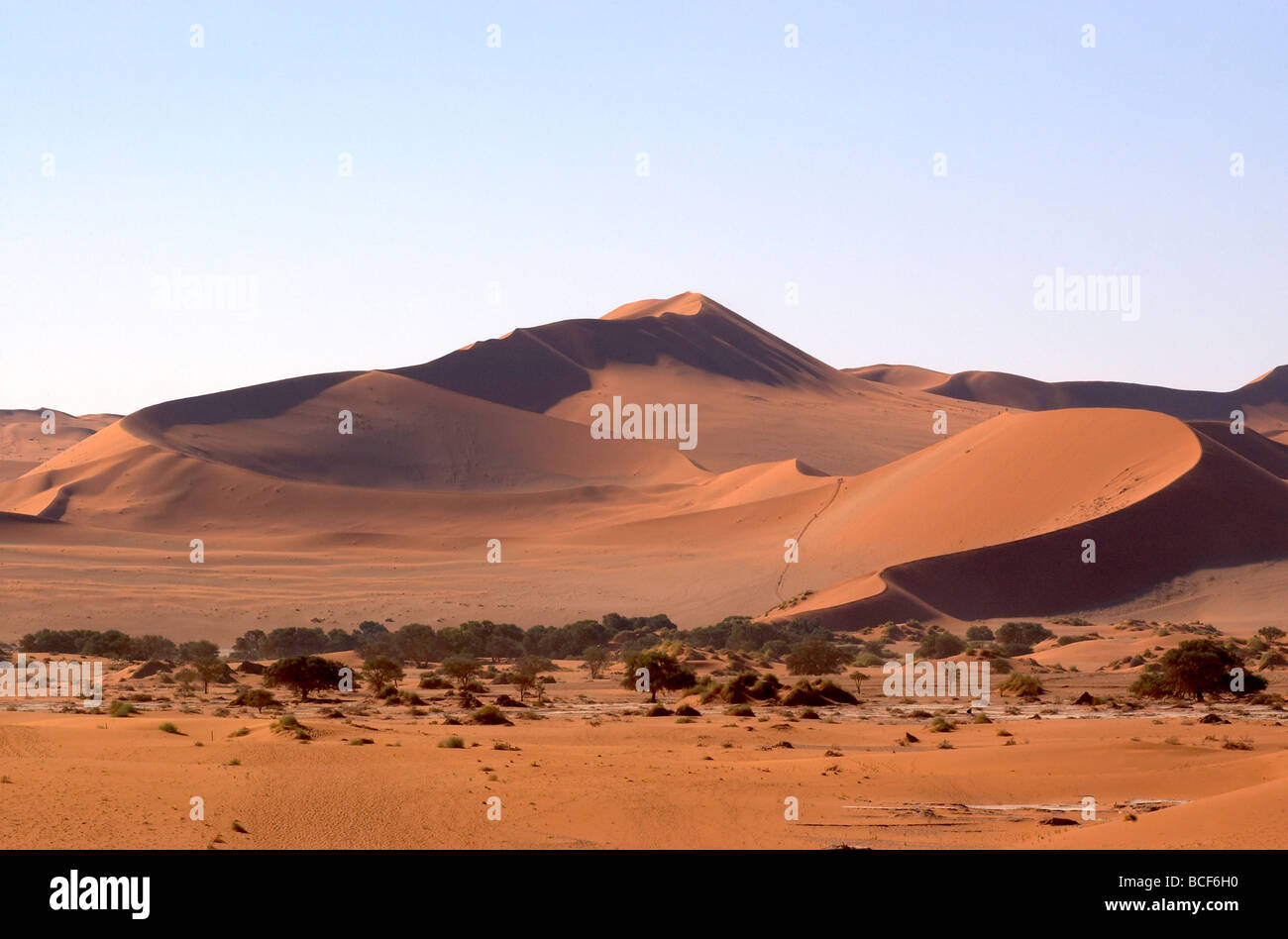 Sossusvlei desert Namibia Africa surrounded by the towering 300m sand dunes Stock Photo
