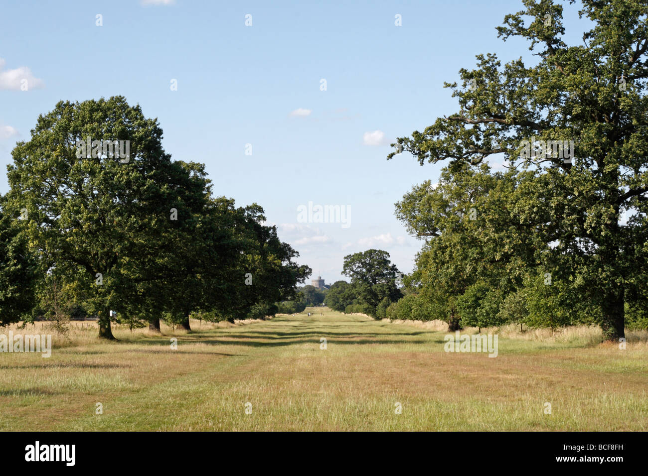 View towards Windsor Castle along Queen Anne's Ride, Windsor Great Walk, Berkshire, UK. Stock Photo
