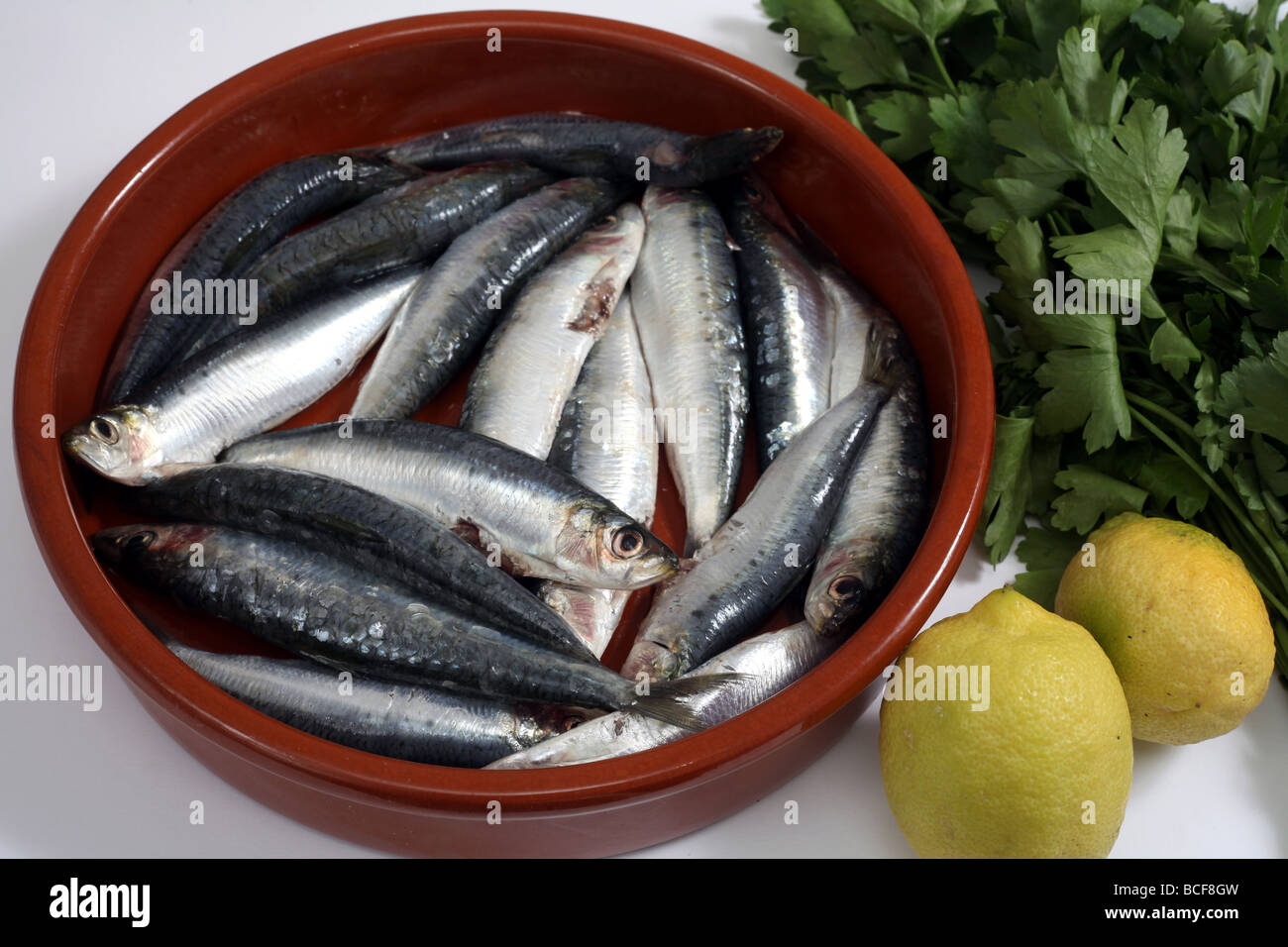 A bowl of fresh sardines or pilchards with lemons and flat italian parsley Stock Photo Alamy