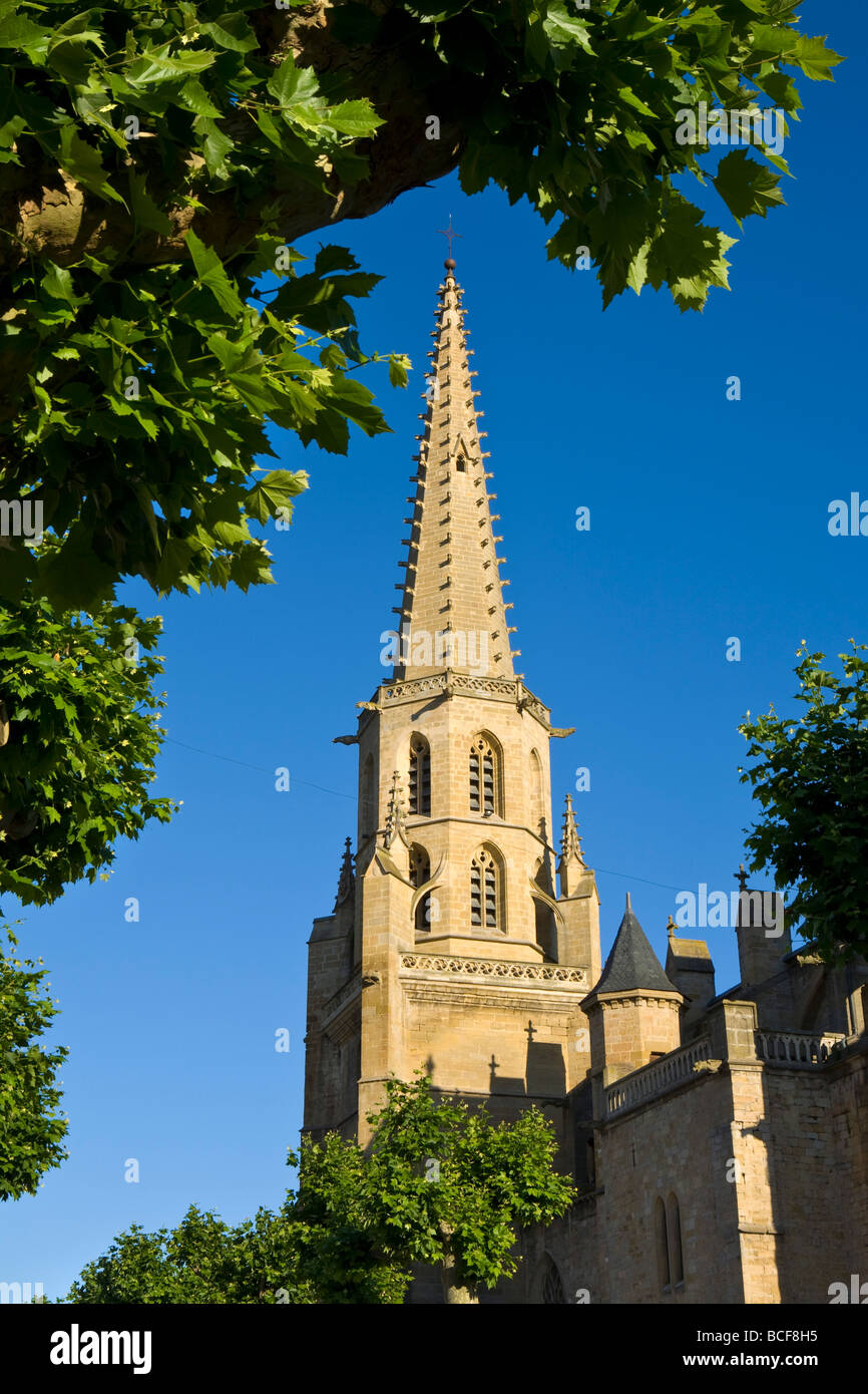 Cathedral, Mirepoix, Ariege, Midi-Pyrenees, France Stock Photo