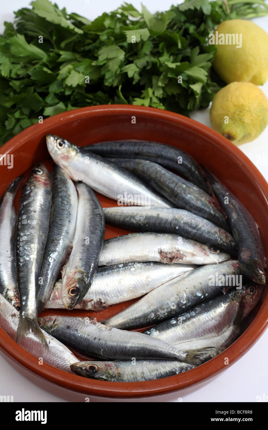 A bowl of fresh sardines (or pilchards as they are also called) next to lemons and parsley Stock