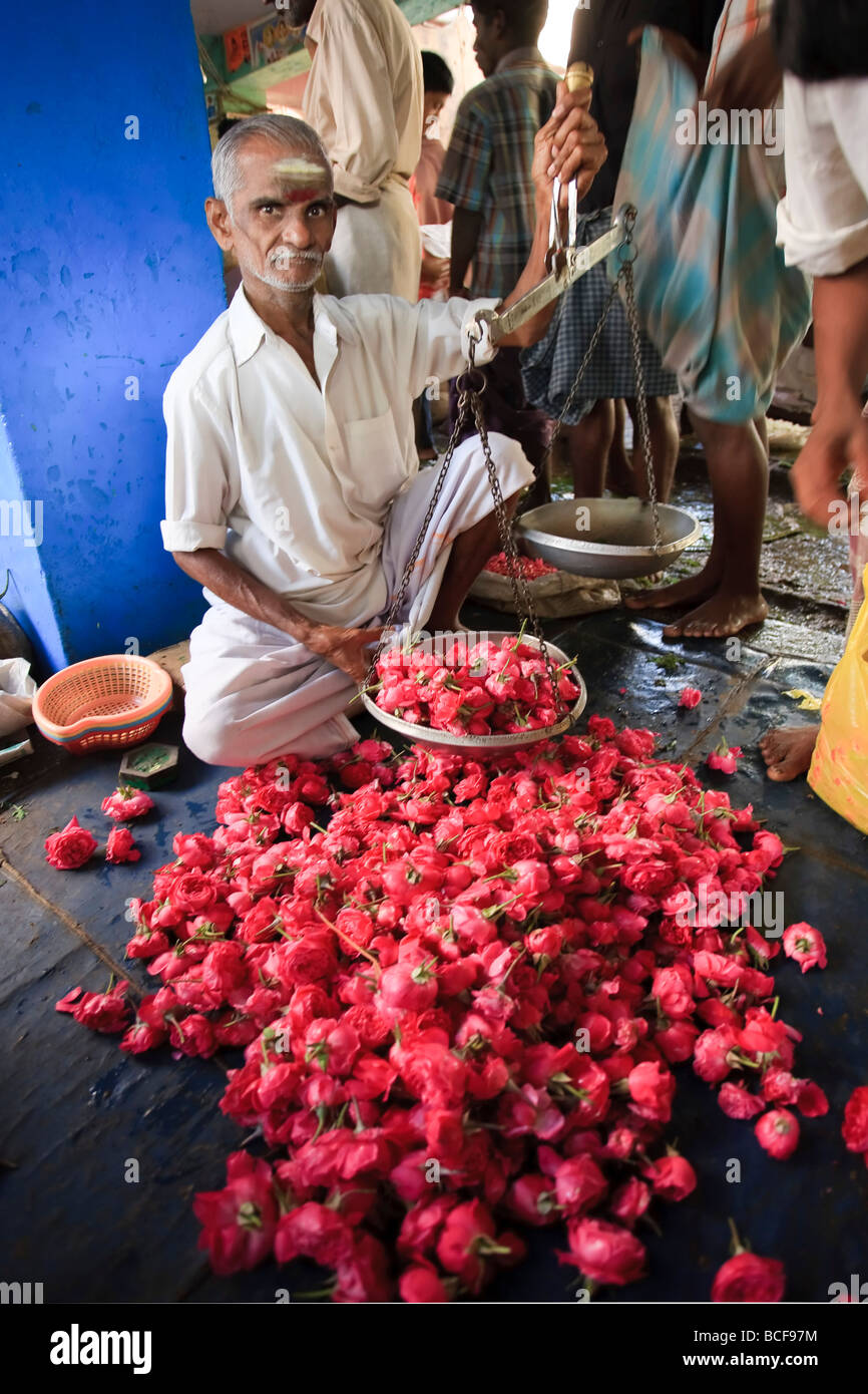 Madurai Fruit and Vegetable Market, Tamil Nadu, India Stock Photo Alamy