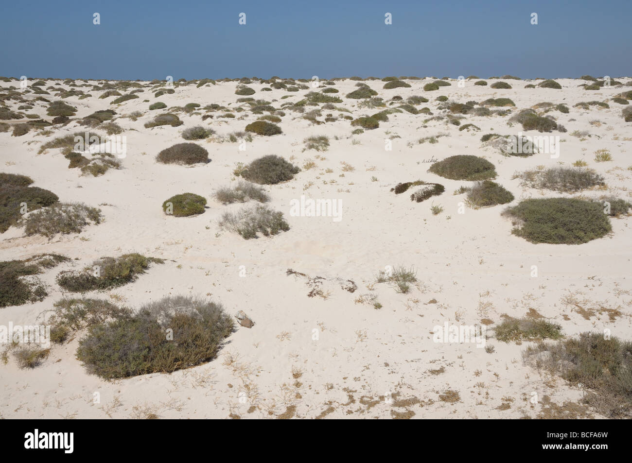 Sand dune near El Cotillo, Canary Island Fuerteventura, Spain Stock Photo