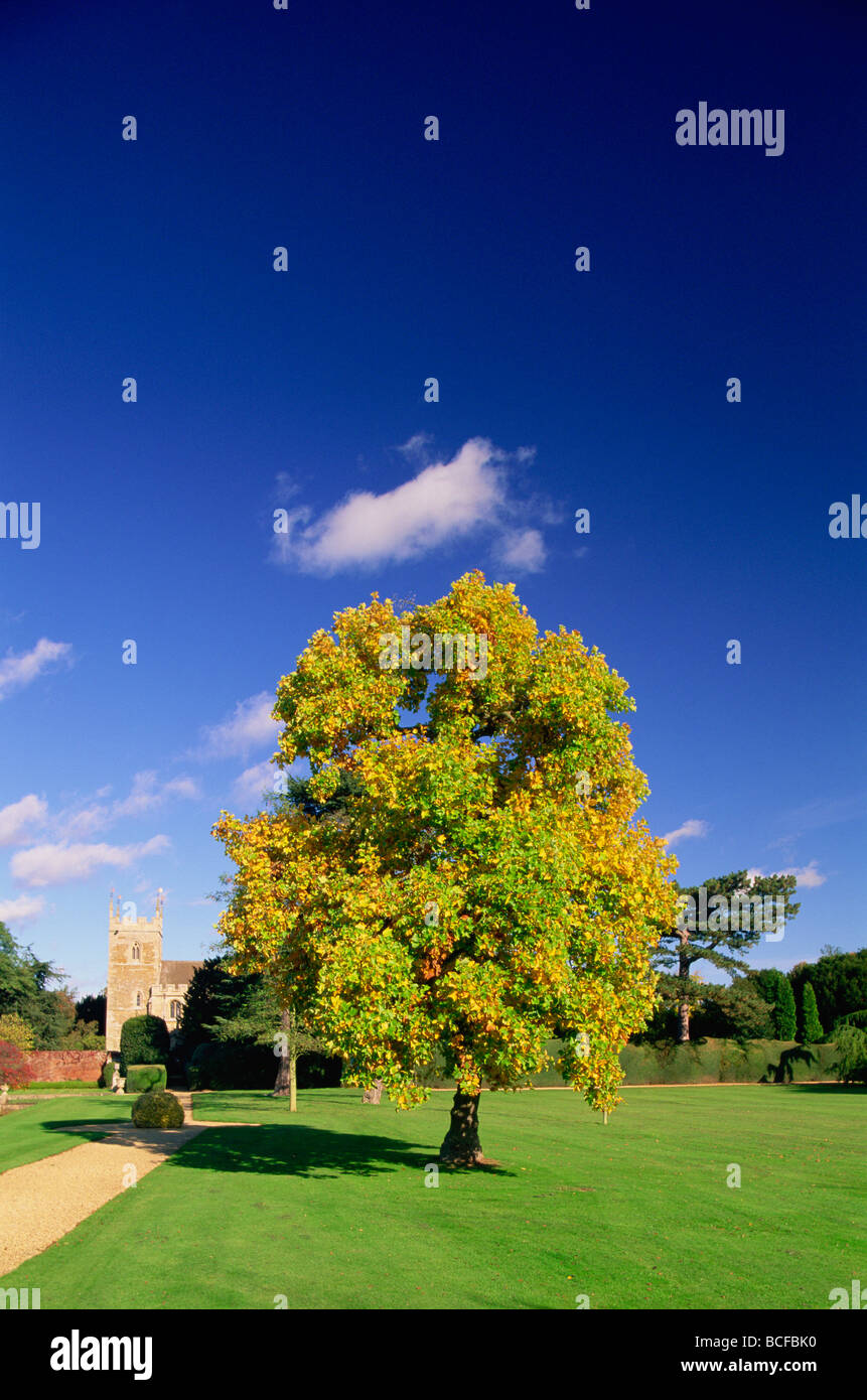Belton house hires stock photography and images Alamy