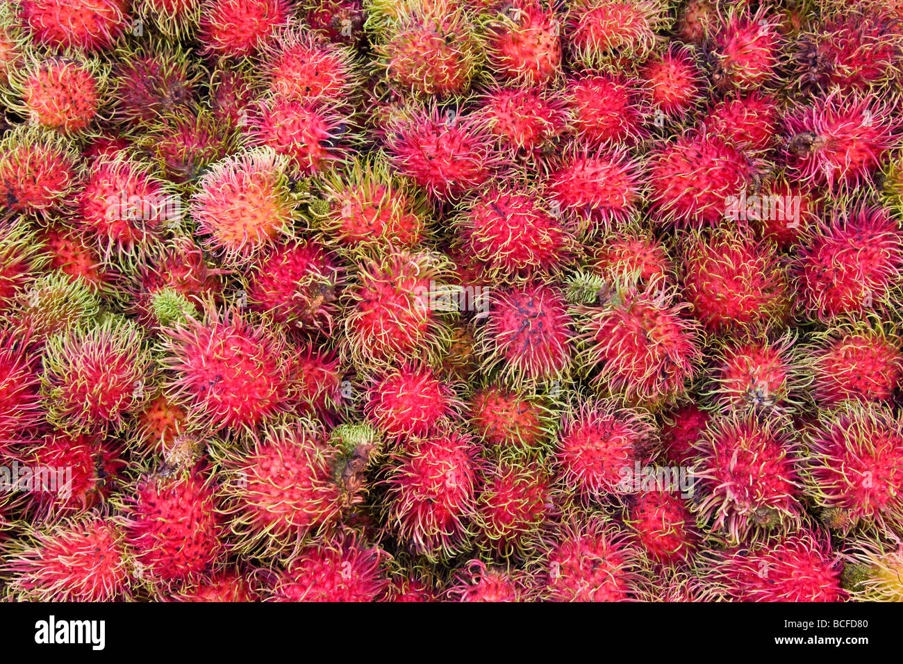 Malaysia, Lycee fruits - detail of Rambutan fruit Stock Photo