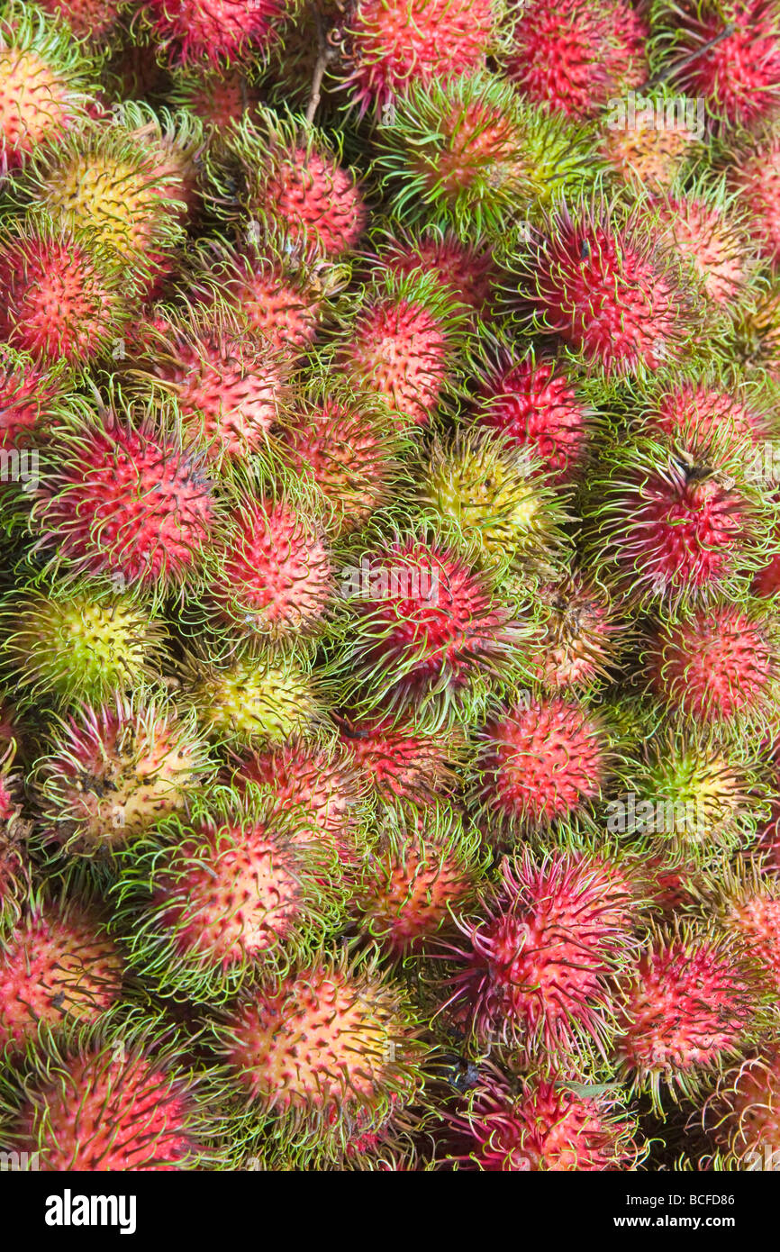Malaysia, Lycee fruits - detail of Rambutan fruit Stock Photo