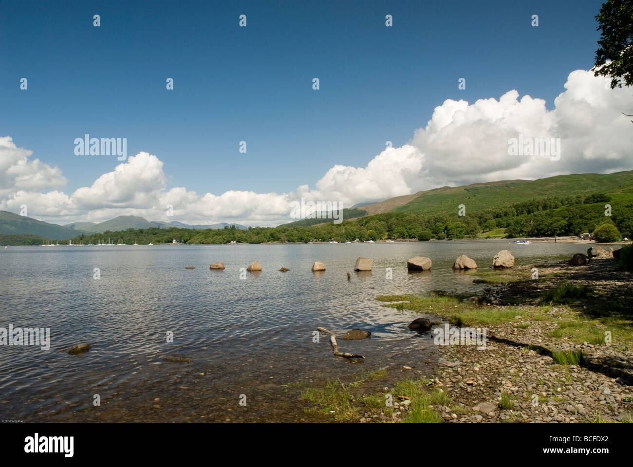 Loch Lomond at Milarrochy Bay nr Balmaha Stirling District Loch Lomond & the Trossach  National Park Scotland Stock Photo