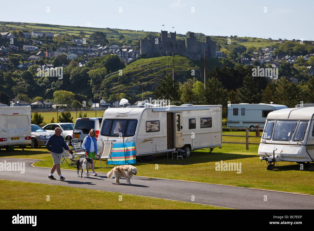 Campers walk their dogs at the Min y Don campsite beneath Harlech Castle, Wales Stock Photo