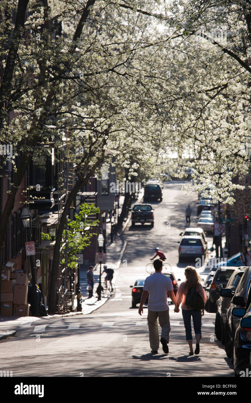 USA, Massachusetts, Boston, Beacon Hill, Pinckney Street Stock Photo