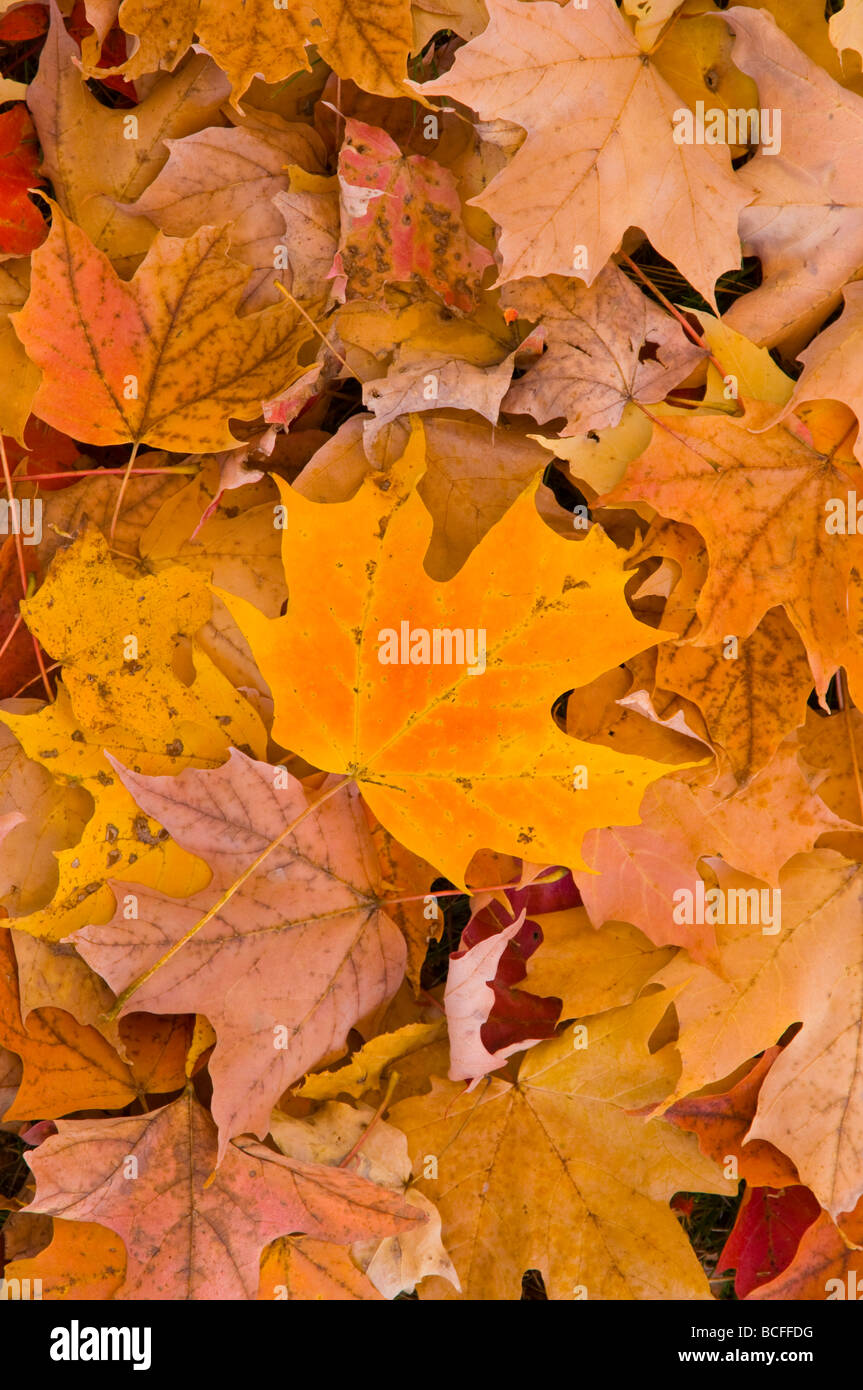 USA, Maine, Wiscasset Stock Photo Alamy