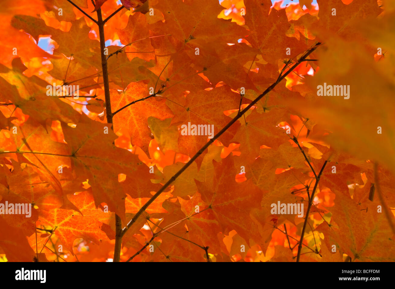 USA, Maine, Wiscasset Stock Photo Alamy