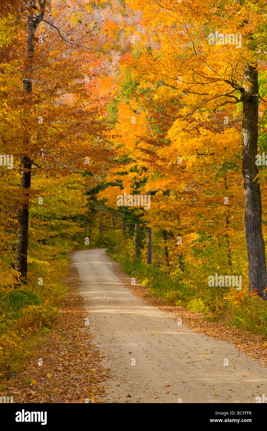 USA, New Hampshire, White Mountain National Park Stock Photo - Alamy