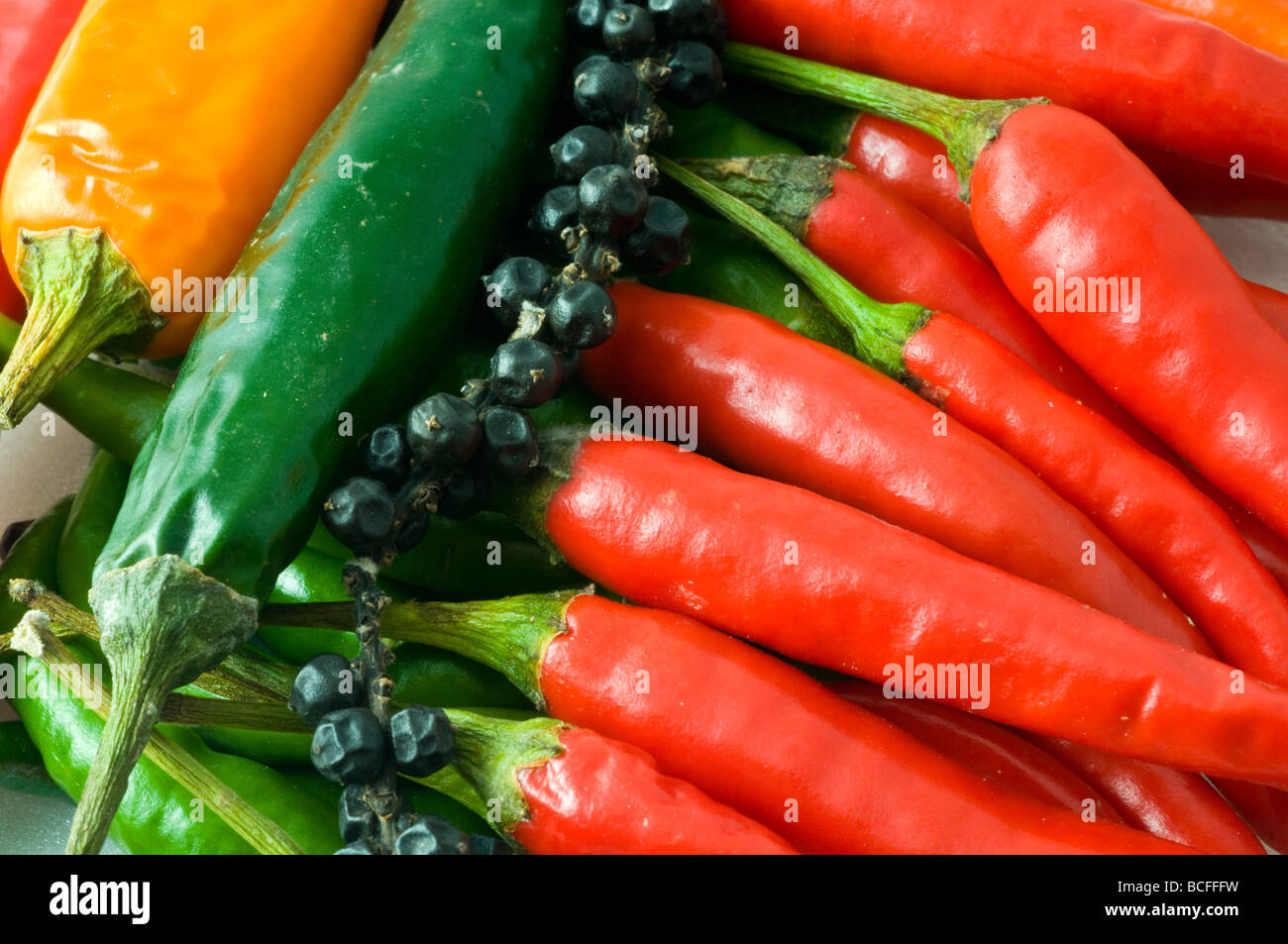 Chilli pepper nepal spice hi-res stock photography and images - Alamy
