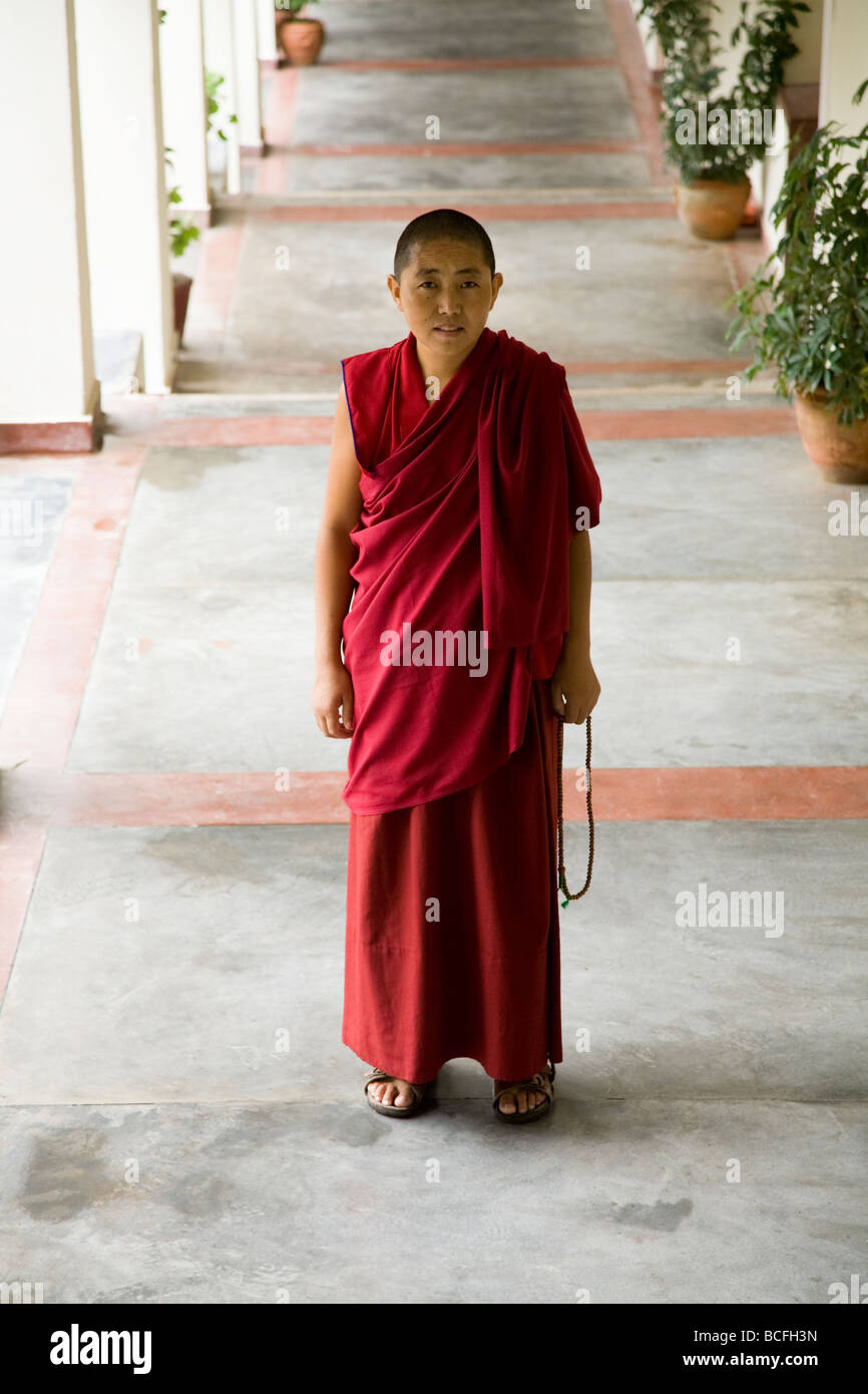 Nun at the Dolma Ling Nunnery (& the Institute of Buddhist Dialectics). Dharamsala. Himachal Pradesh. India. Stock Photo