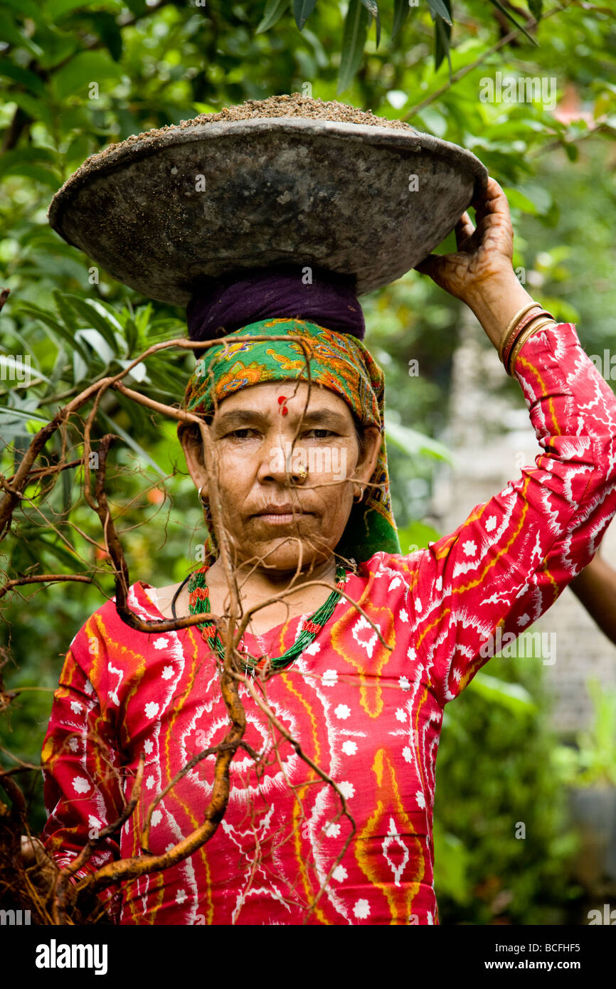 Indian woman carrying building materials in a basket on her head at Norbulingka institute. Sidhpur, Dharamsala. HP. India. Stock Photo