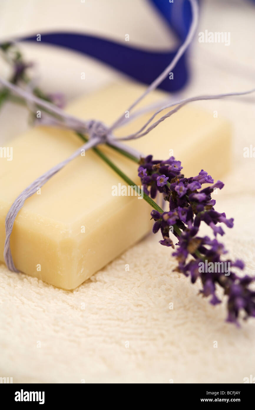handmade lavender soap bundled with lavender blossoms by  purple ribbon, on a towel Stock Photo