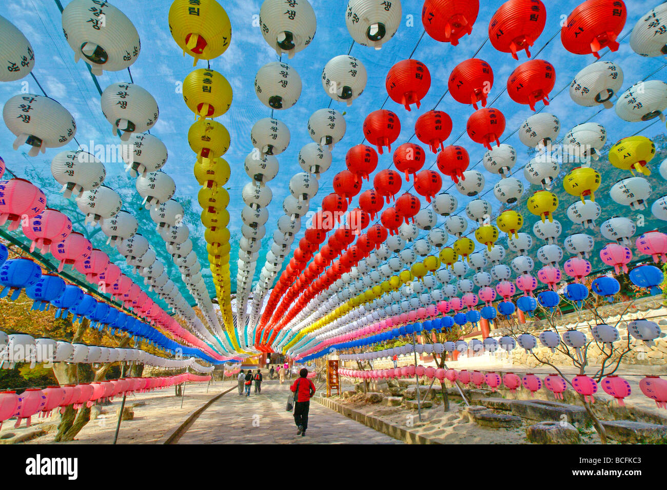 Paper lanterns at entrance to Tongdosa Buddhist temple, South Korea Stock Photo