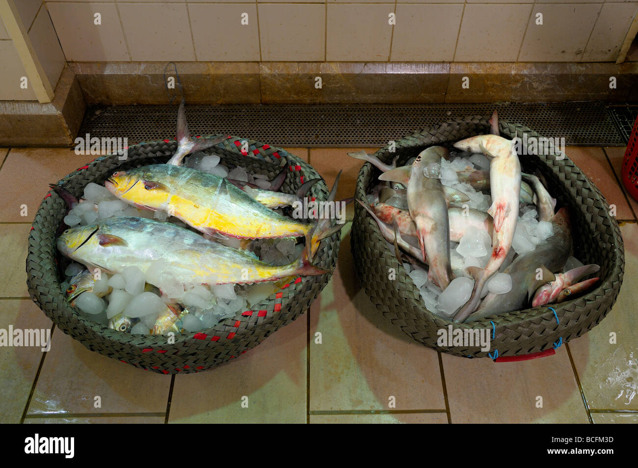The fish catch at a fish market Stock Photo Alamy