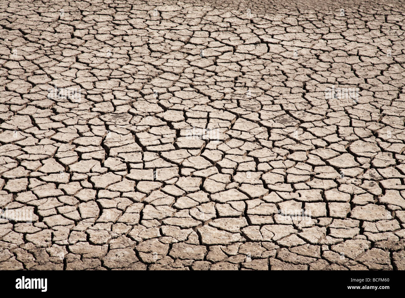 drought parched cracked earth dry arrid global warming waterless cracks Stock Photo