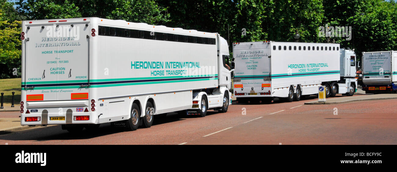 Three Heronden International Horse Transport articulated lorries in convoy driving out of Hyde Park London after delivering or collecting England UK Stock Photo