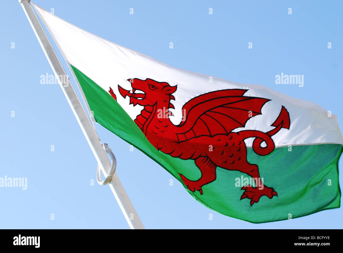 welsh flag flying high no 2719 Stock Photo