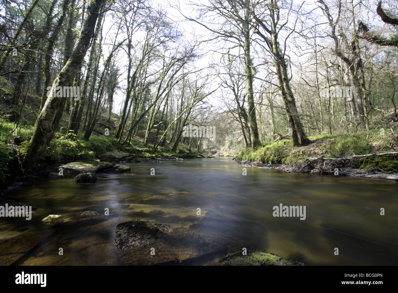 Dunmurry Rivers Dunmere hi-res stock photography and images - Alamy