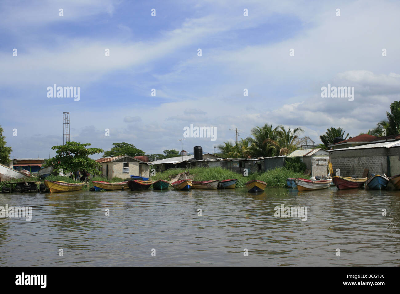 Fishing boats along the bank of Black River, Jamaica Stock Photo Alamy