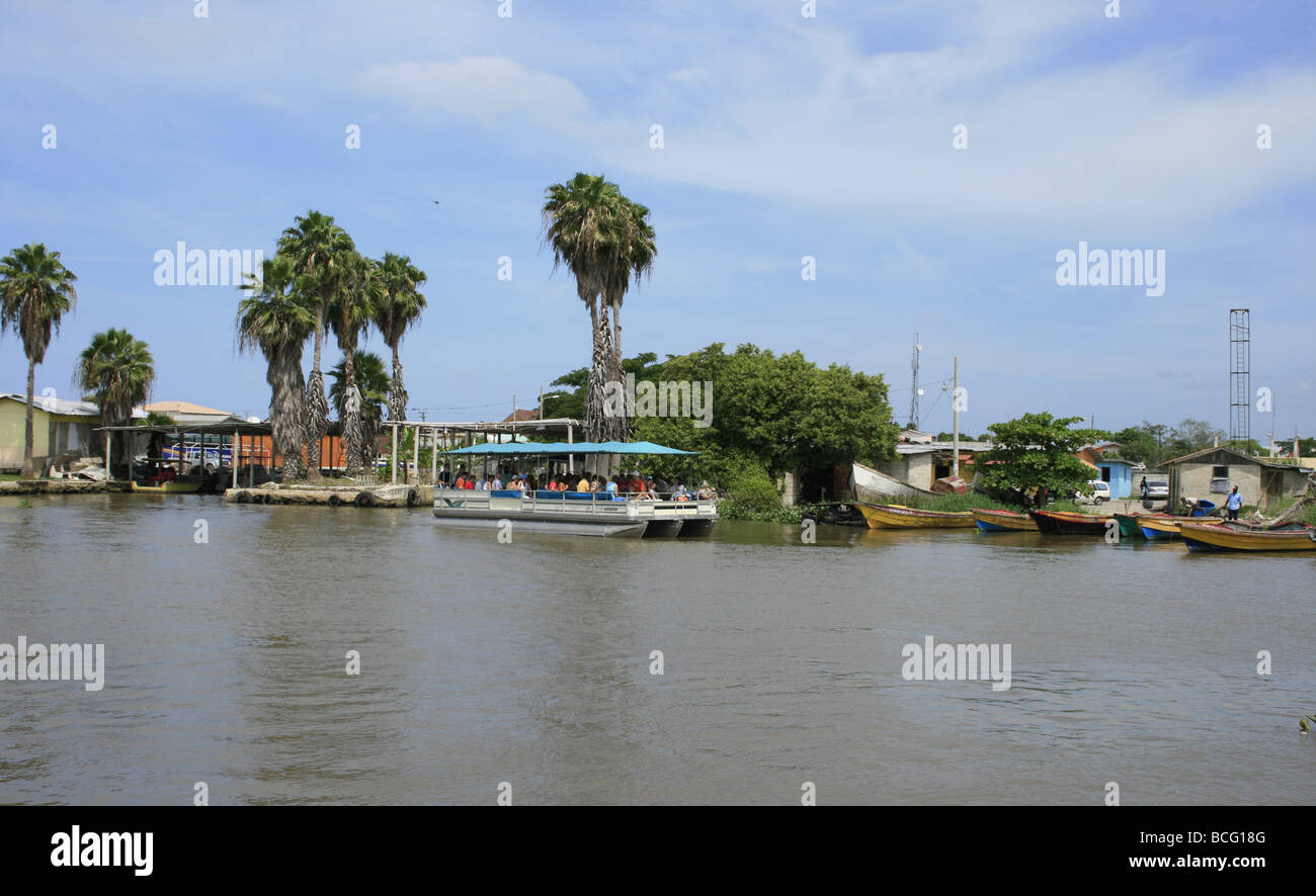 Tourists on a river boat, Black River, Jamaica Stock Photo Alamy