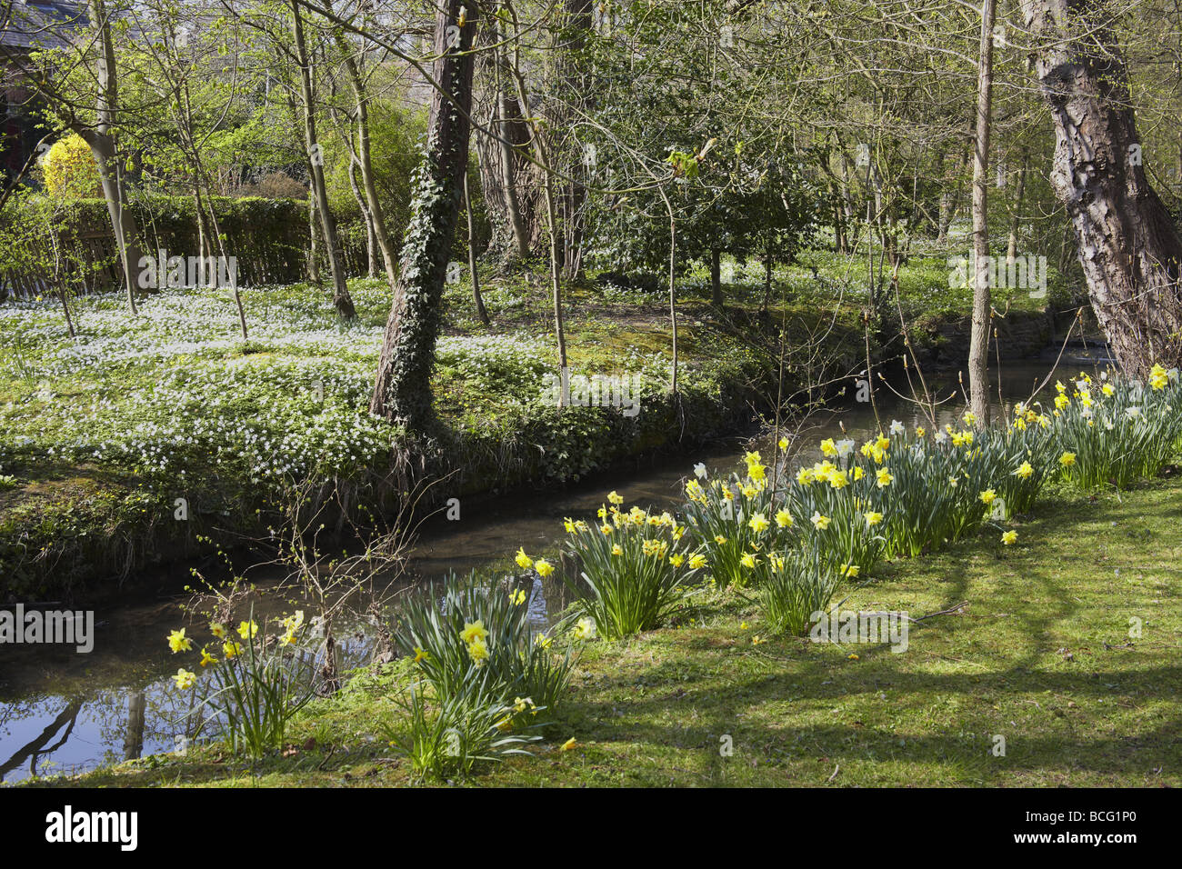 The banks of a river with bushes and trees Stock Photo - Alamy