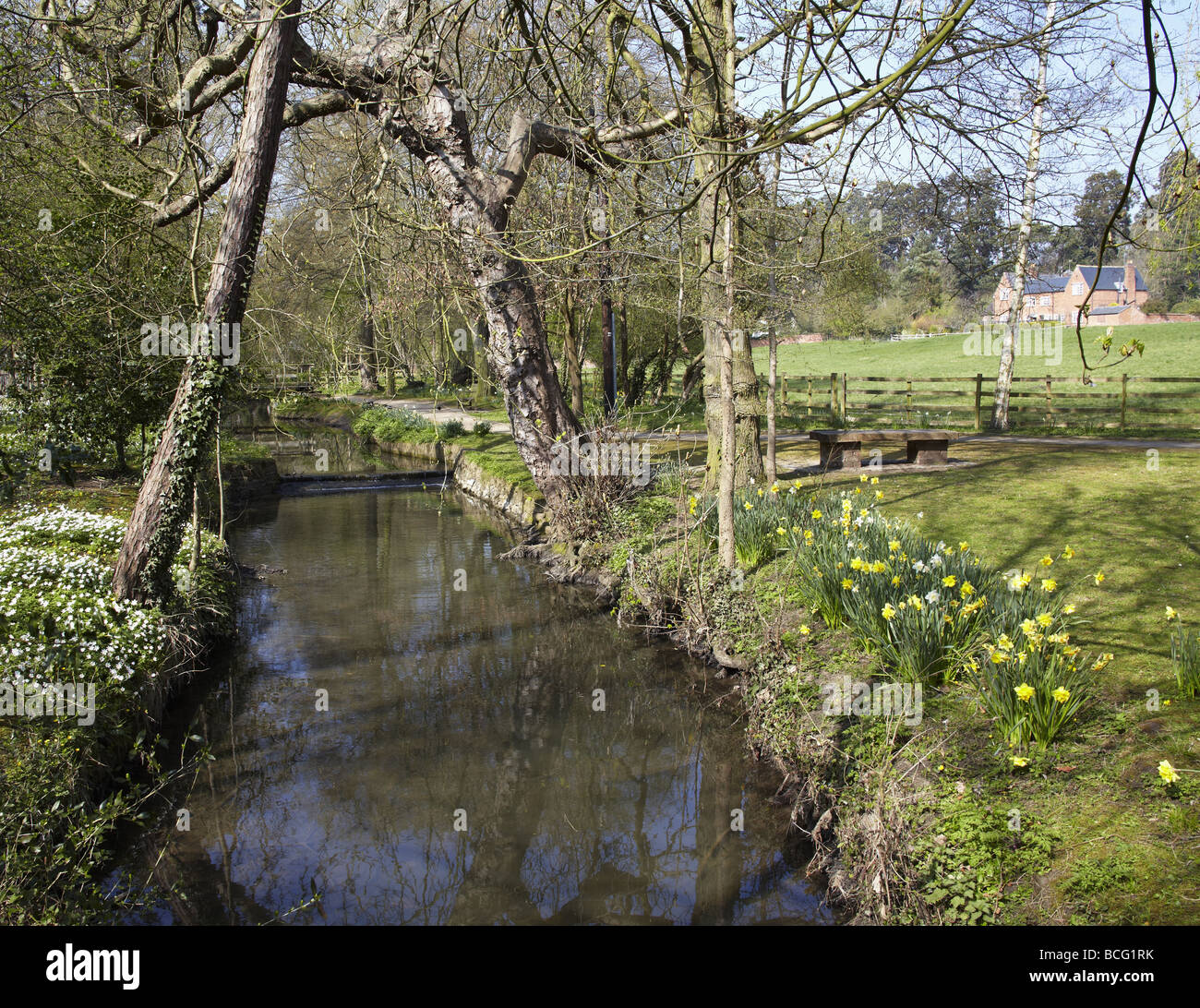 The banks of a river with bushes and trees Stock Photo - Alamy