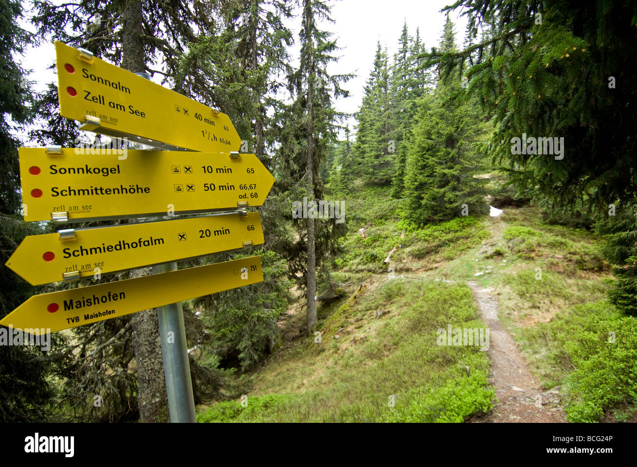 Mountain footpaths through the dense woodland on the Schmittenhohe in Austria. Stock Photo