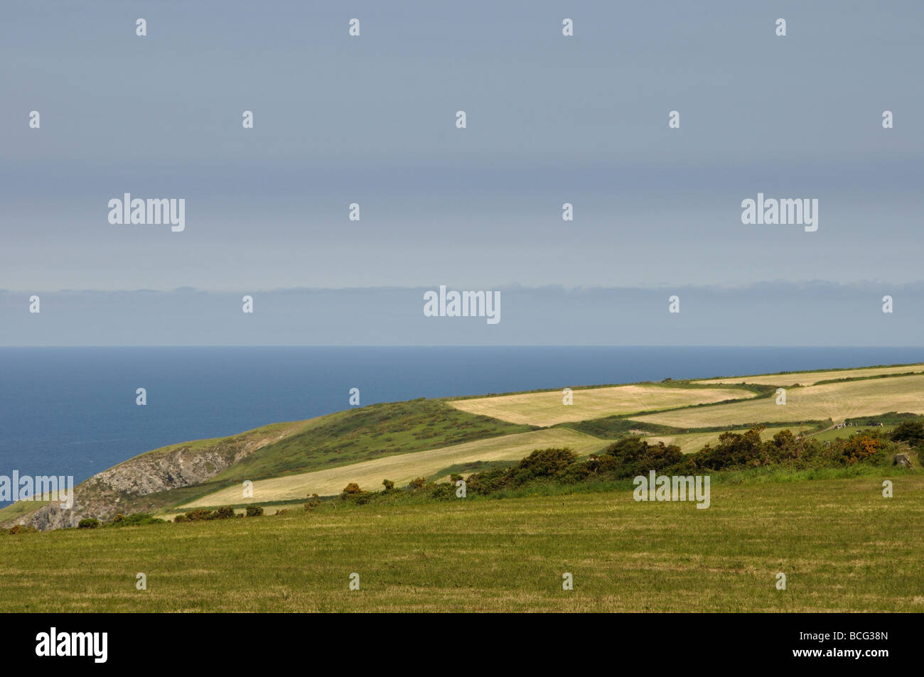 Headland Poppit , farm fields, blue horizon, St Dogmaels Stock Photo