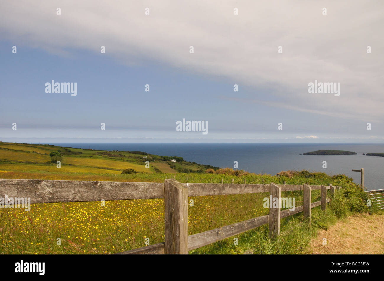 Cardigan Island Pembrokeshire Coastal Path Stock Photo Alamy