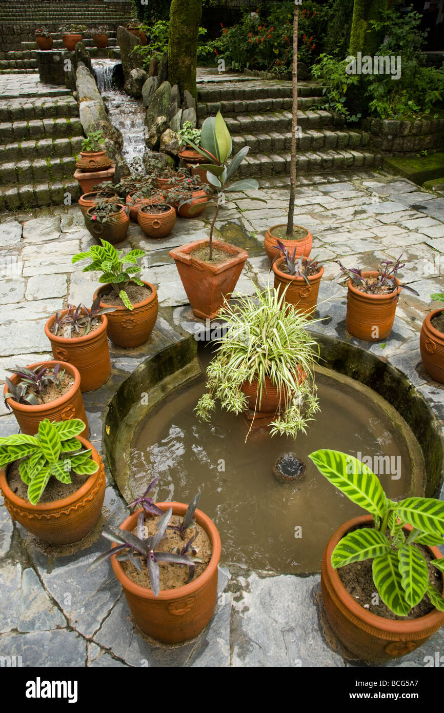 Small pond; water garden, and potted plants at the Norbulingka institute. Sidhpur, Dharamsala. Himachal Pradesh. India Stock Photo