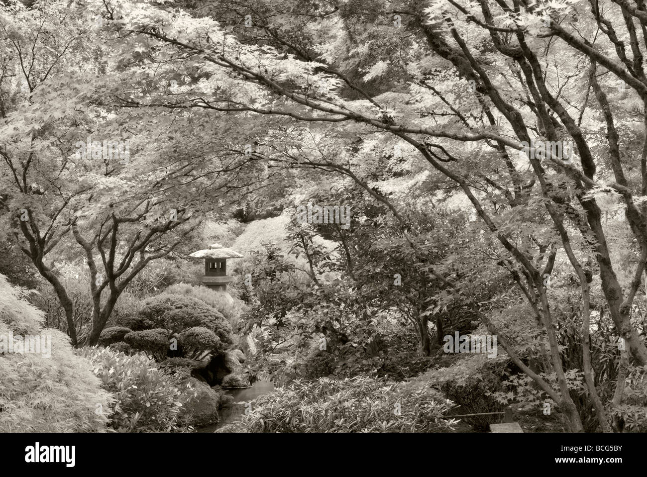 Sculpture and fall color at Portland Japanese Garden Oregon Stock Photo