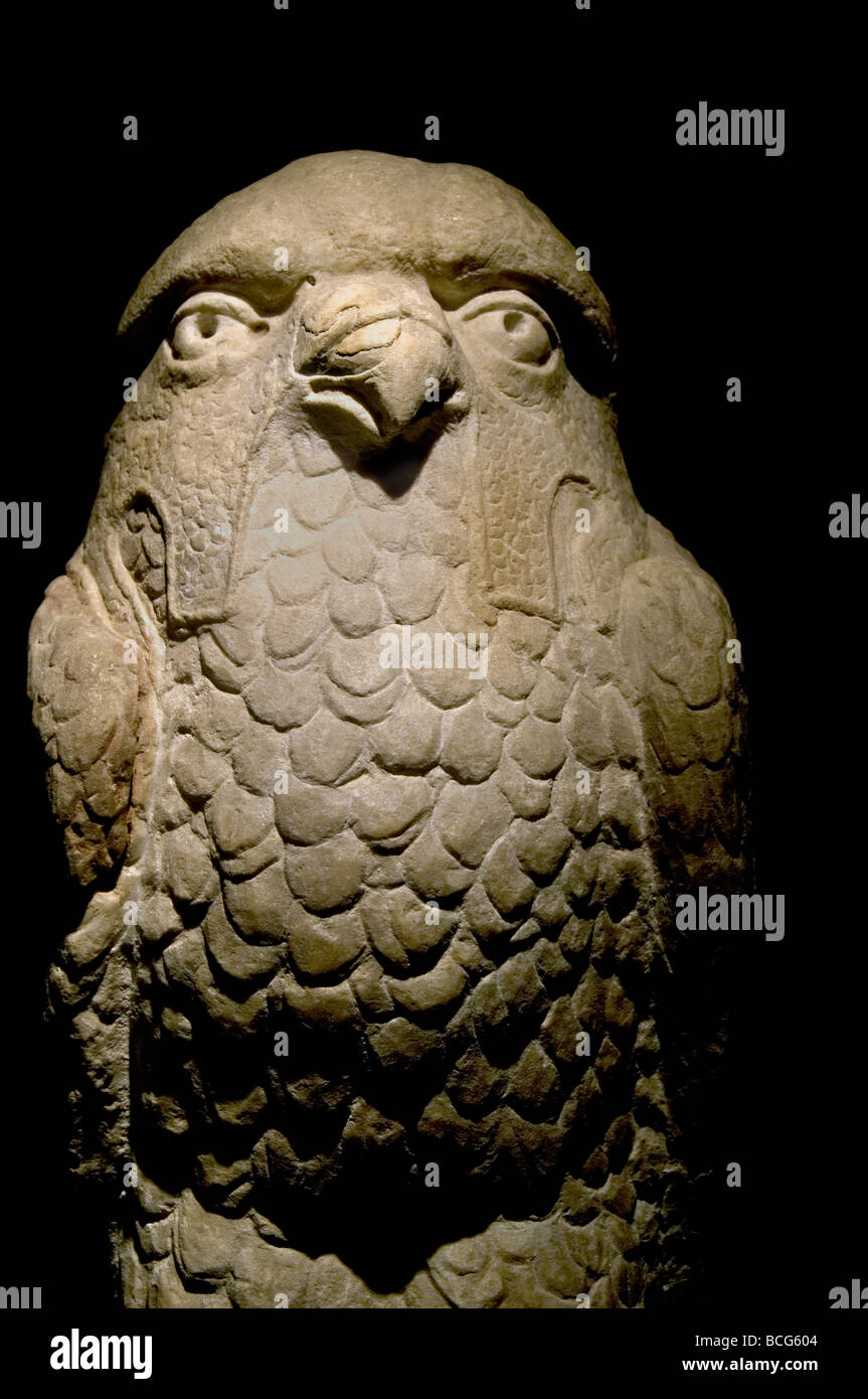 Predicting Owl greek Greece 150 AD  museum archaeology civilization Stock Photo