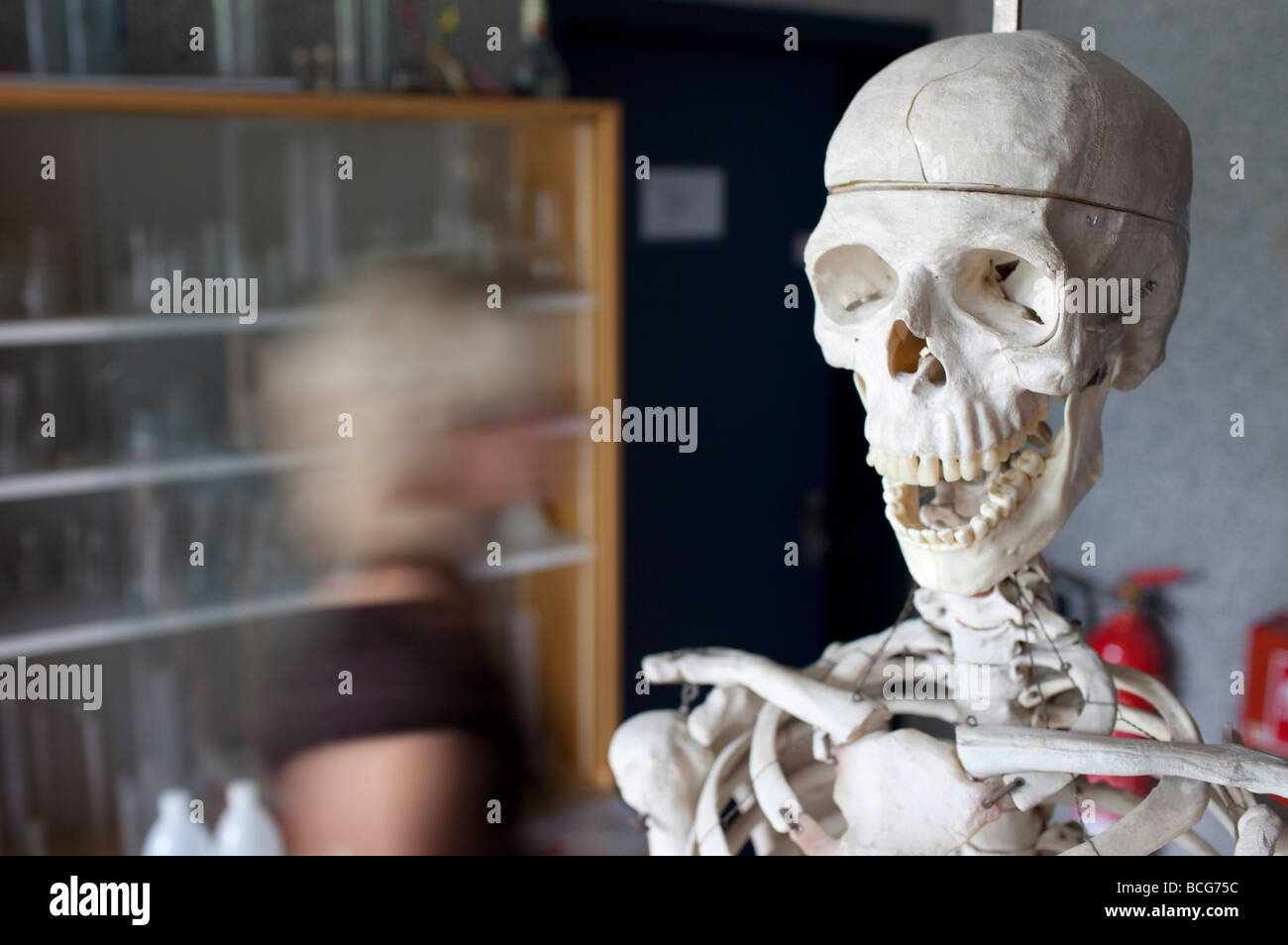 Science Stock Photo