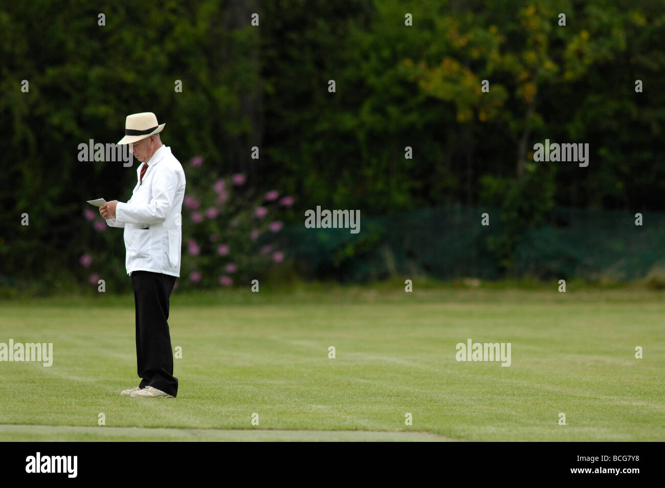 side view of cricket umpire Stock Photo